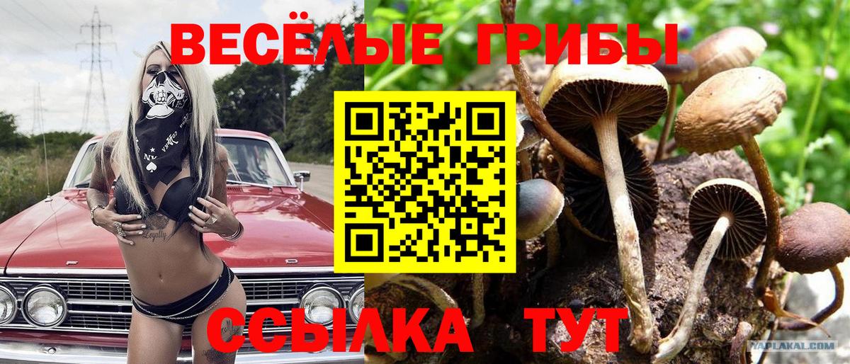 Галлюциногенные грибы ЛСД  Вход с VPN  Муравленко 